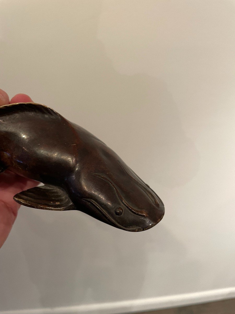 Catfish. Japanese Bronze Late 19th Century-photo-5