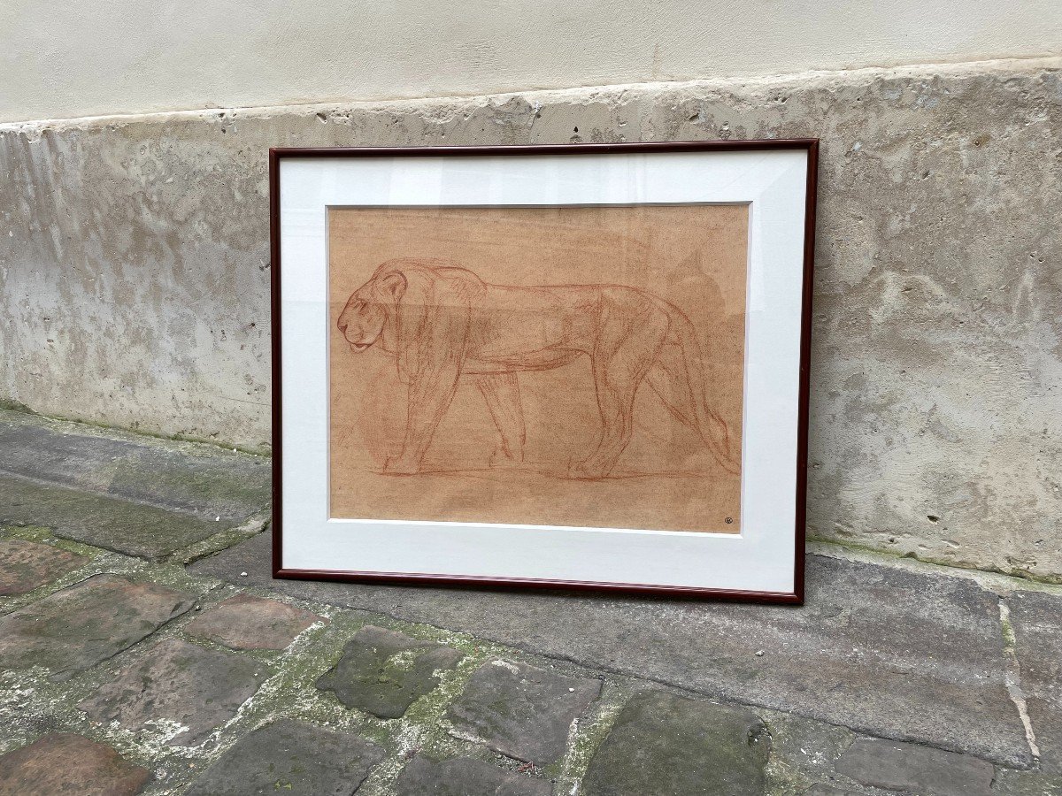 The Lion Drawing By André Abbal Circa 1925-photo-3