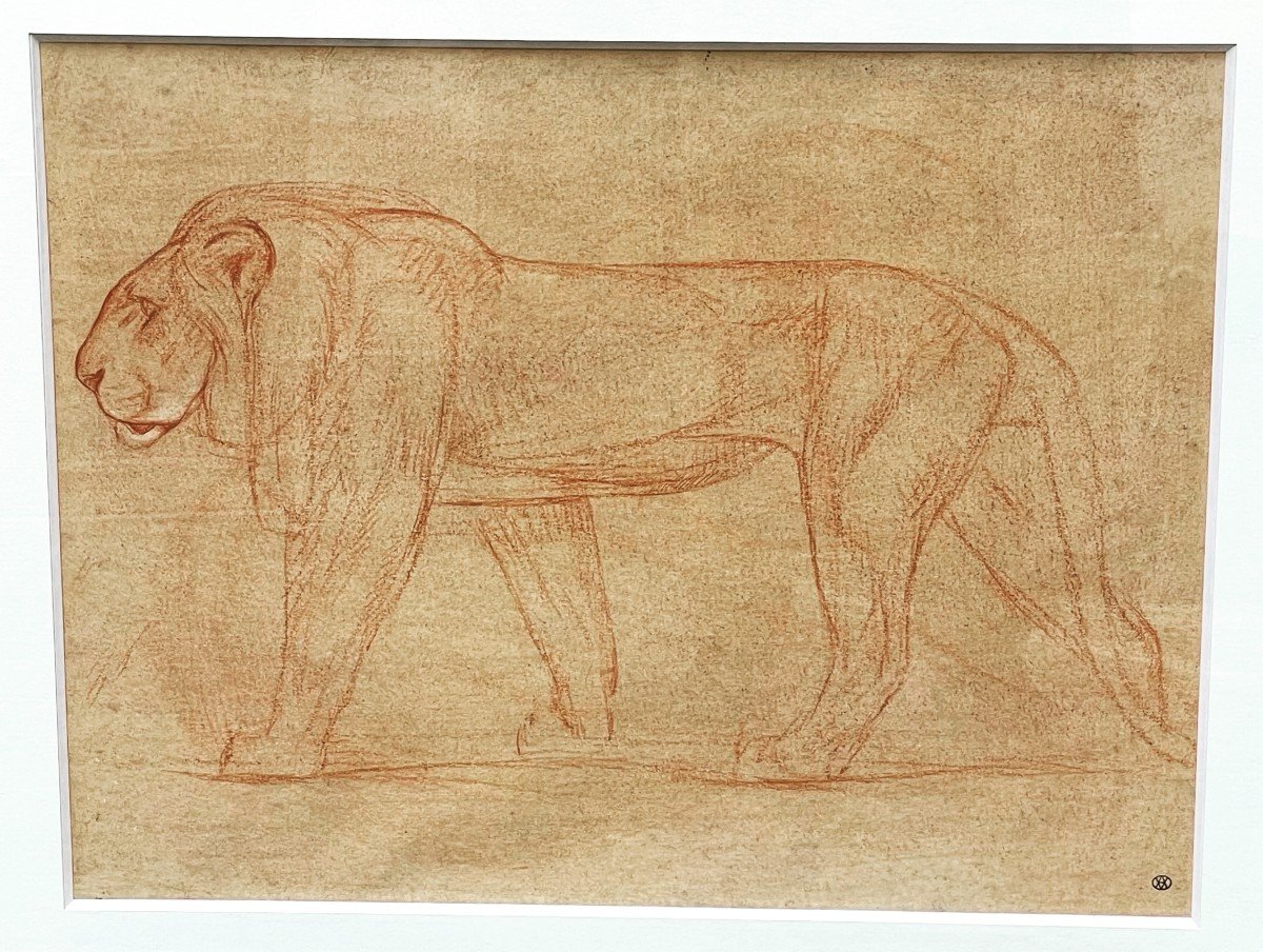 The Lion Drawing By André Abbal Circa 1925-photo-4