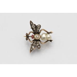 Old Brooch In The Shape Of A Fly, Late 19th Century.