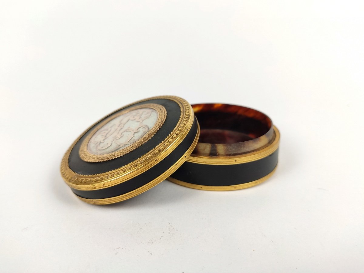 Superb 18th Century Snuff Box In Gold, Martin Varnish / Composition & Tortoiseshell. Louis XVI-photo-8