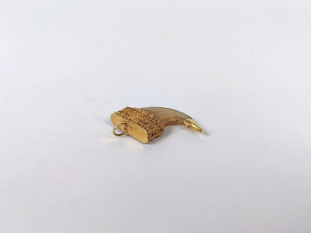  India: 18k Gold Mounted Claw Pendant, -photo-3