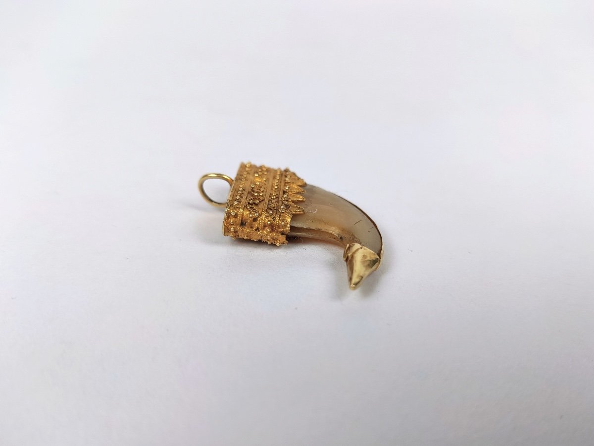  India: 18k Gold Mounted Claw Pendant, -photo-4