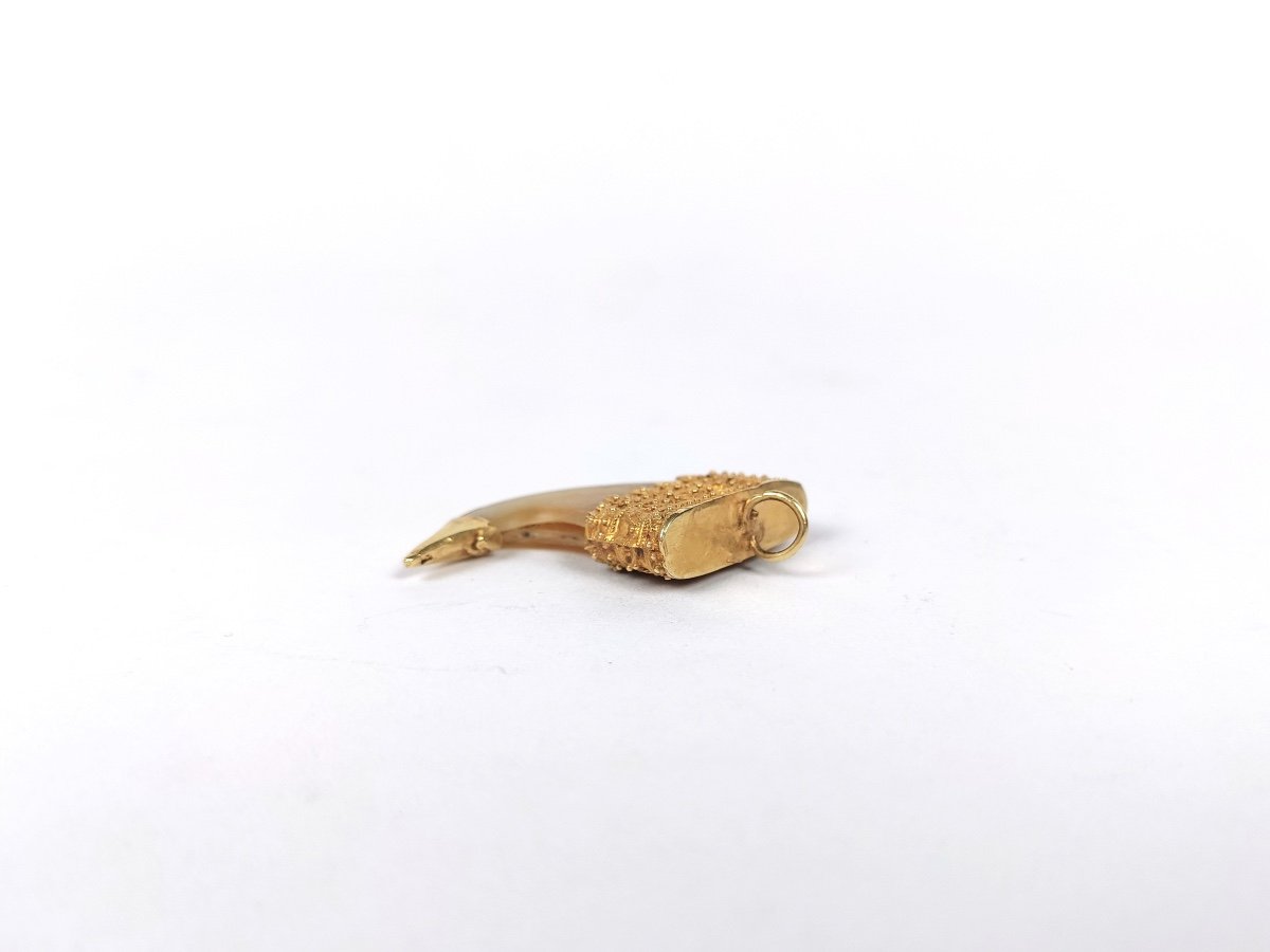  India: 18k Gold Mounted Claw Pendant, -photo-2