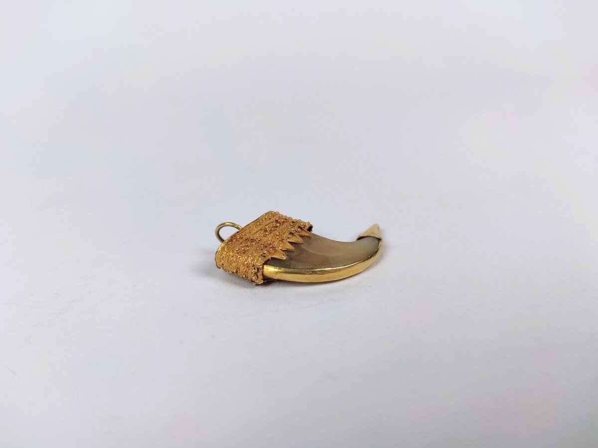  India: 18k Gold Mounted Claw Pendant, -photo-3