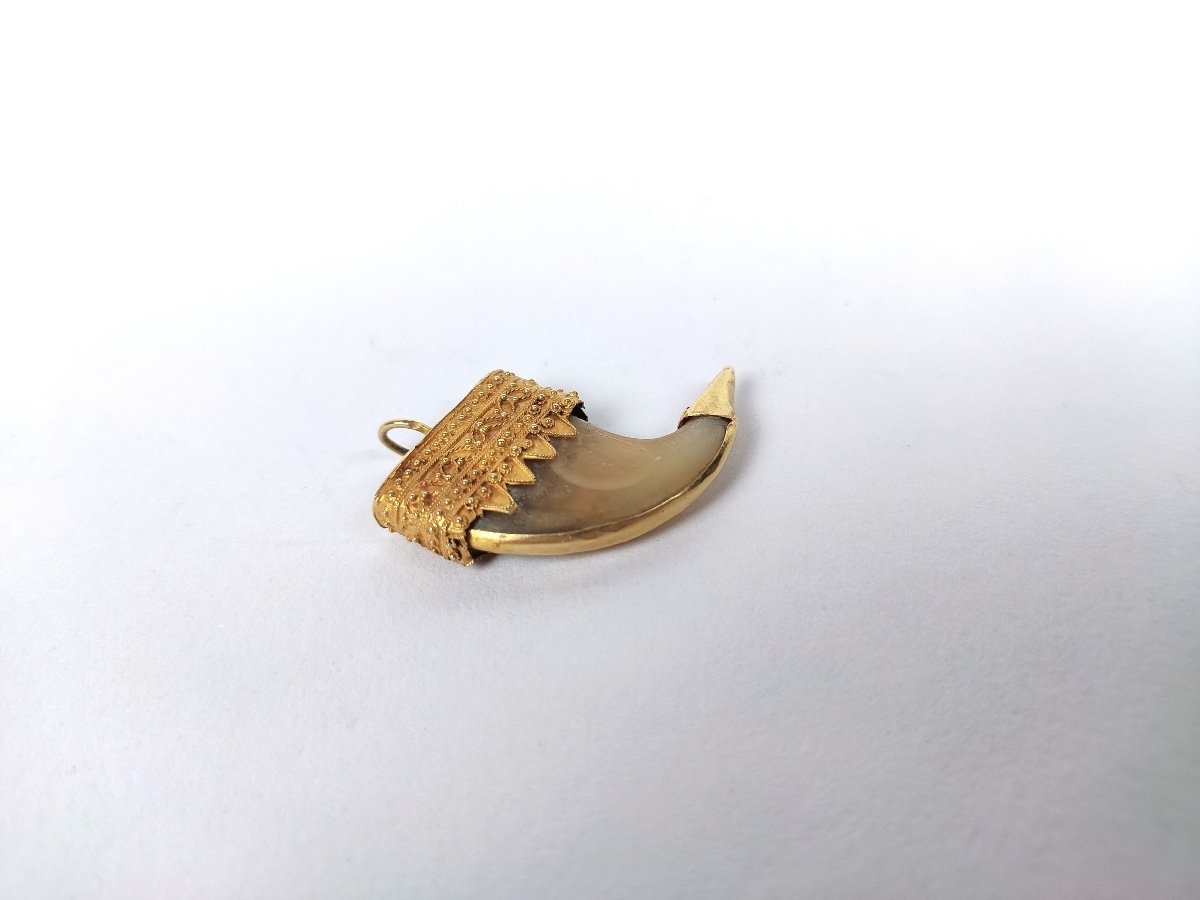  India: 18k Gold Mounted Claw Pendant, -photo-4