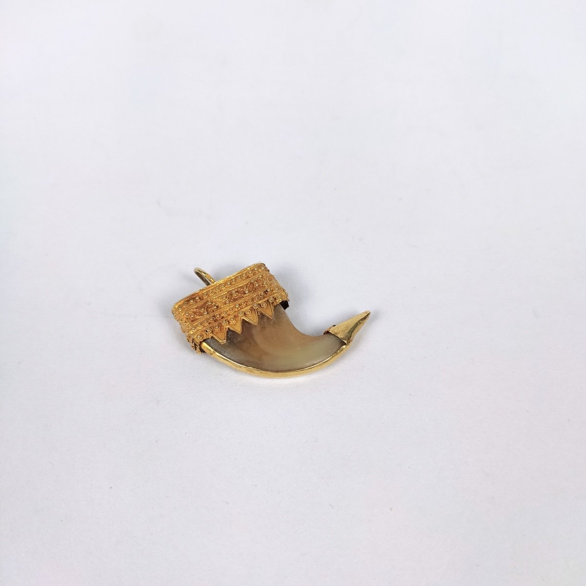  India: 18k Gold Mounted Claw Pendant, 