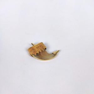  India: 18k Gold Mounted Claw Pendant, 