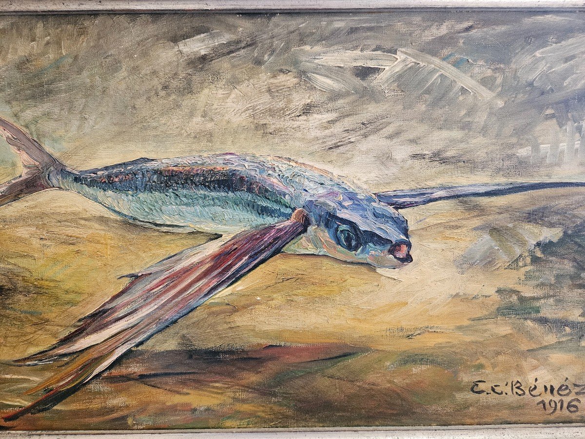 Poisson Volant Huile Sur Toile Par Benezit 1916-photo-4