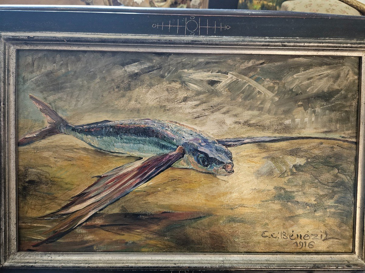 Poisson Volant Huile Sur Toile Par Benezit 1916