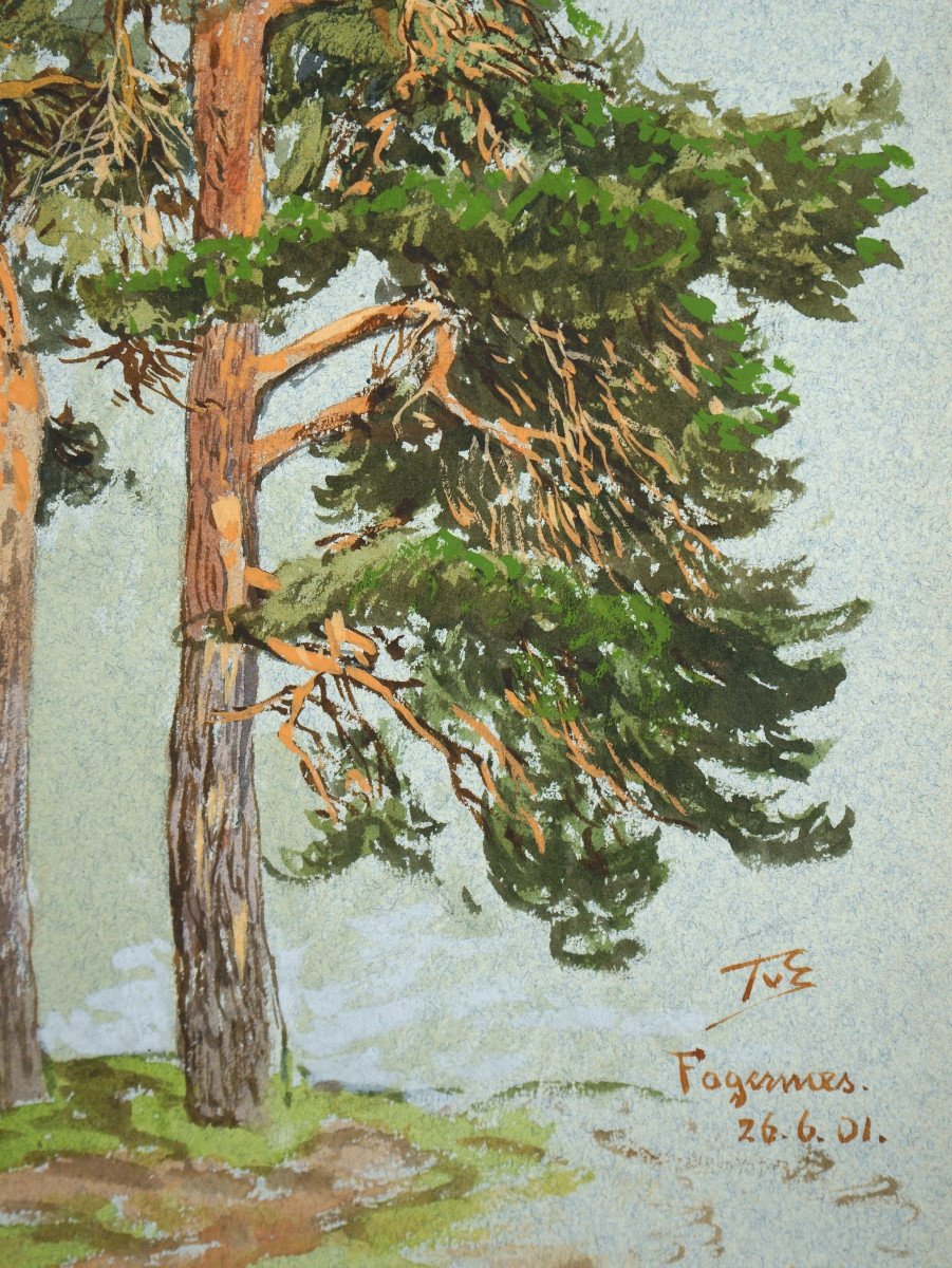 Themistokles Von Eckenbrecher, (1842-1921), Norwegian Pine Forest, 1901 / - The Glow Of The Trees --photo-3