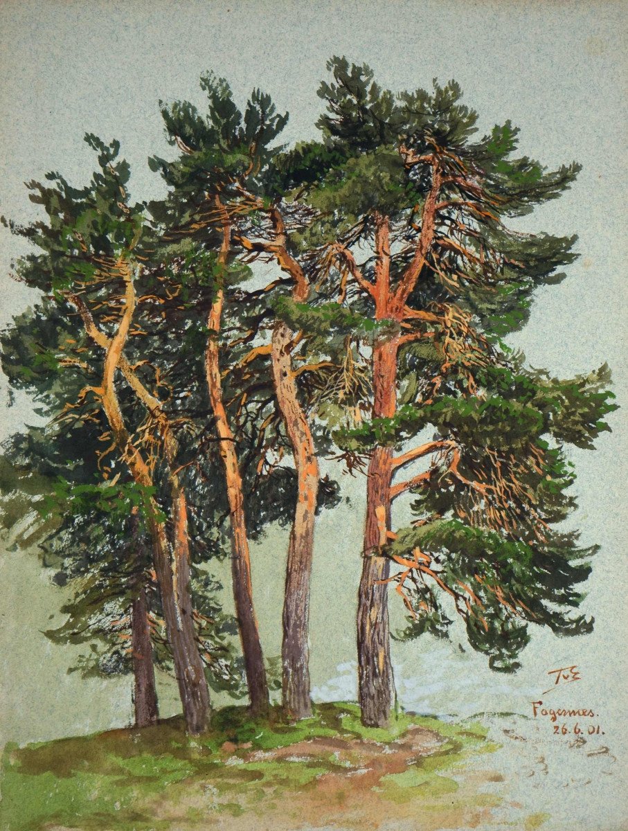 Themistokles Von Eckenbrecher, (1842-1921), Norwegian Pine Forest, 1901 / - The Glow Of The Trees -