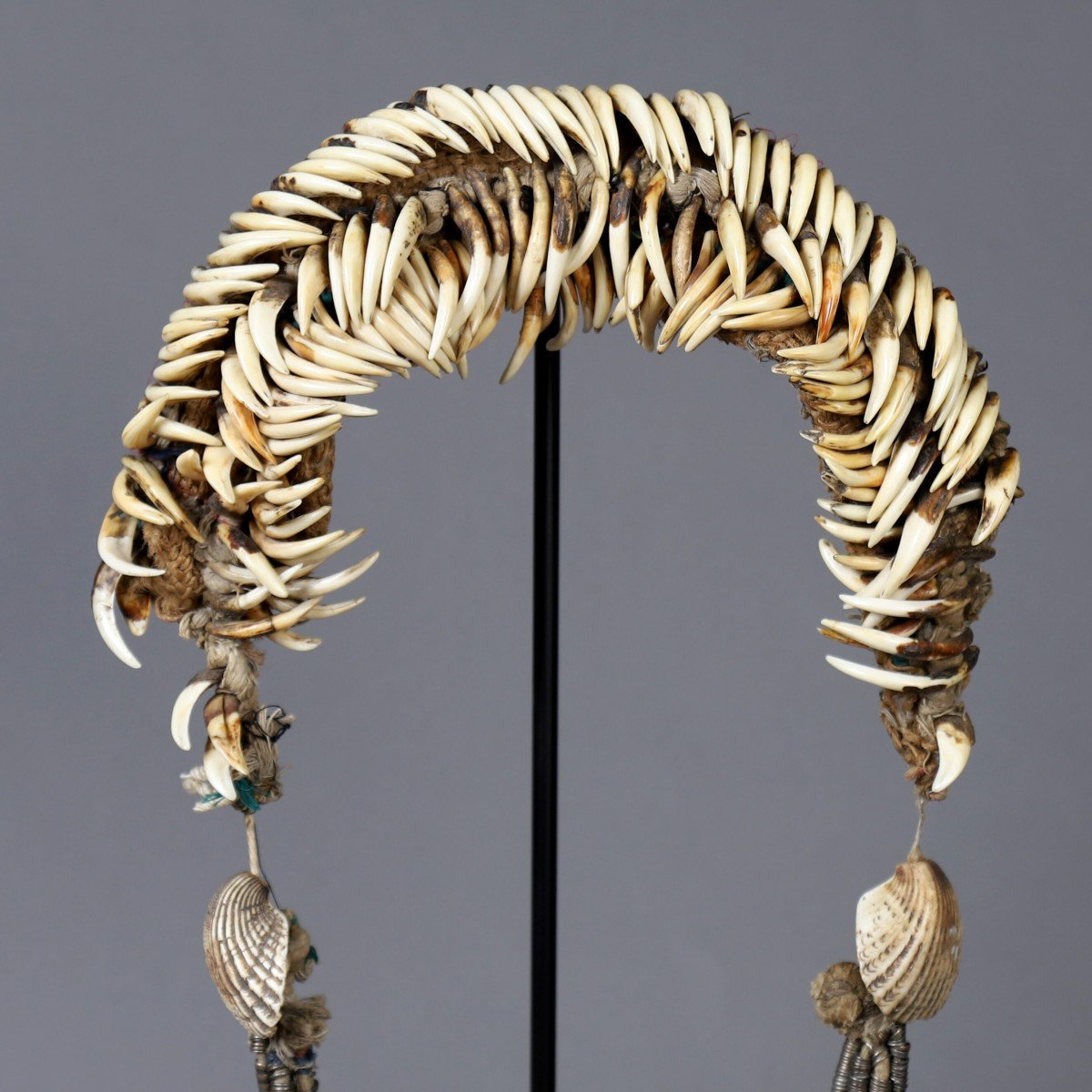 Pangolin Claw Necklace – Burma-photo-2