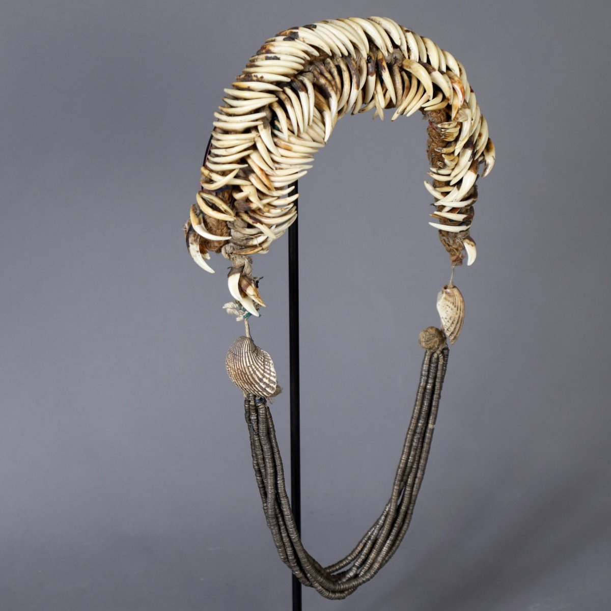 Pangolin Claw Necklace – Burma-photo-4