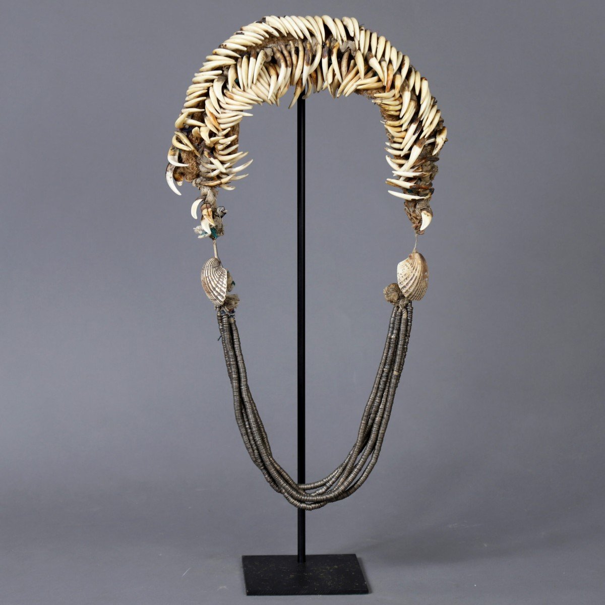 Pangolin Claw Necklace – Burma