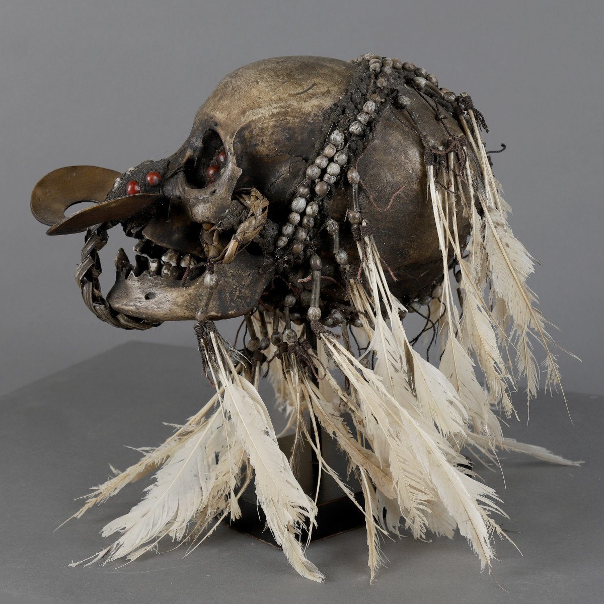 Asmat Skull - Papua New Guinea-photo-2