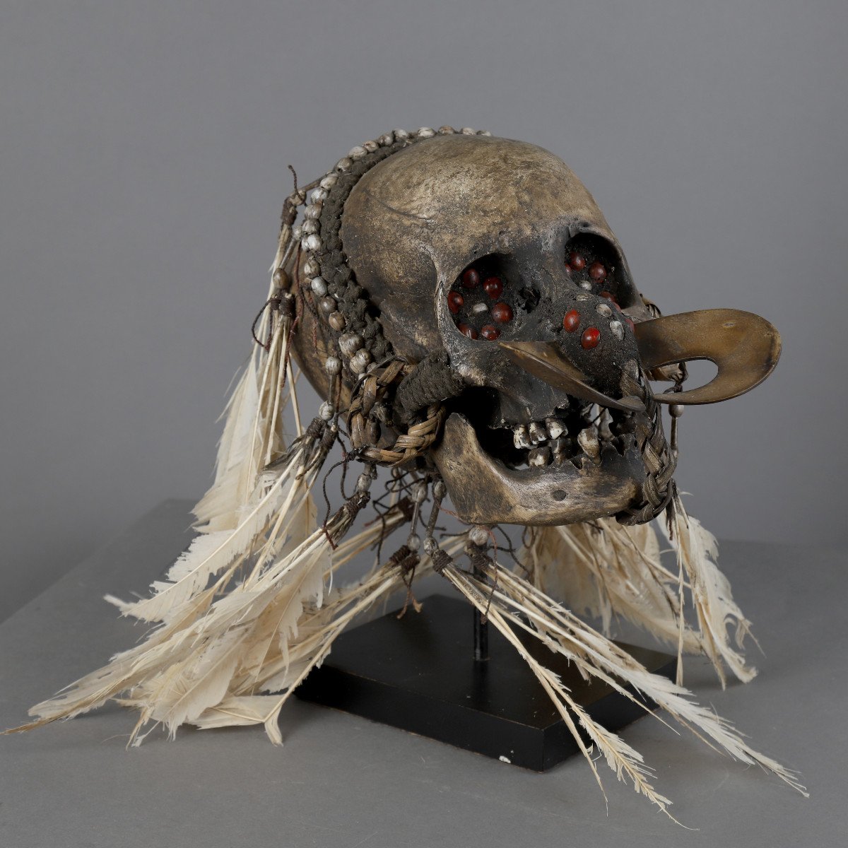 Asmat Skull - Papua New Guinea-photo-3