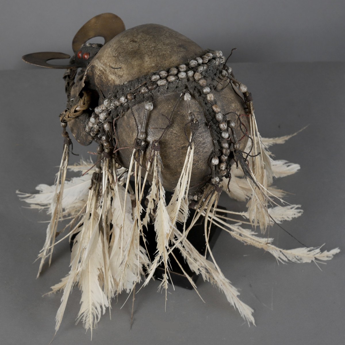 Asmat Skull - Papua New Guinea-photo-2