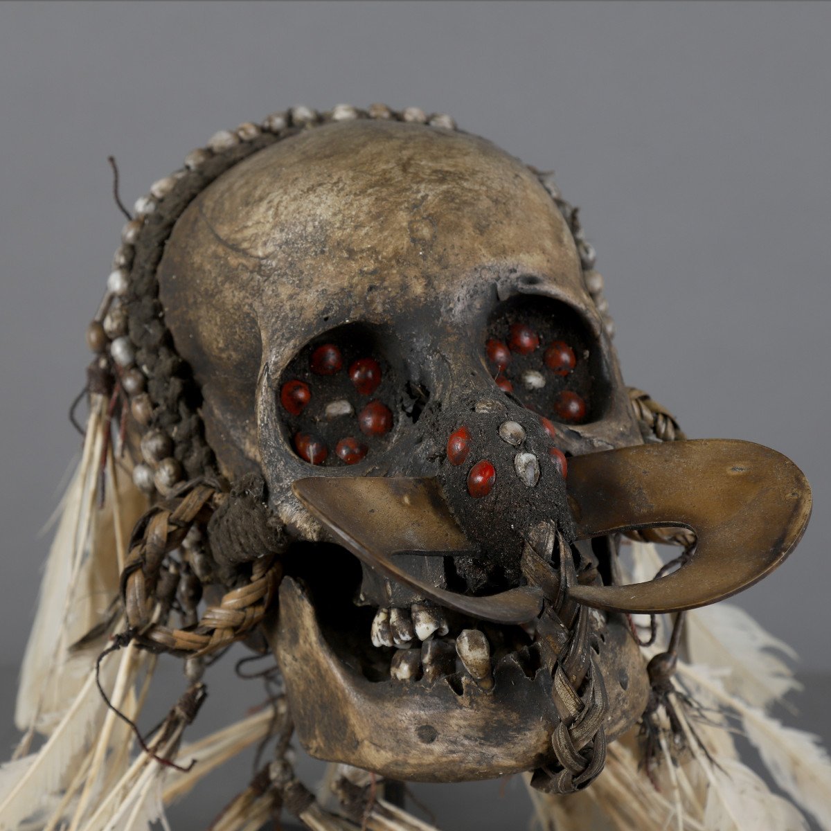 Asmat Skull - Papua New Guinea-photo-3