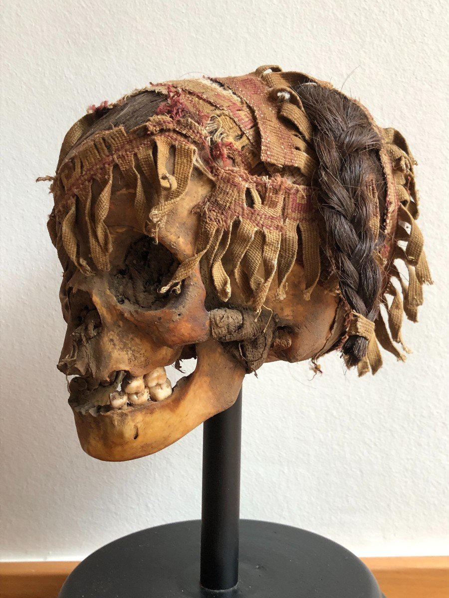 Nazca Mummy Head / Sacrificial Skull - Peru-photo-4