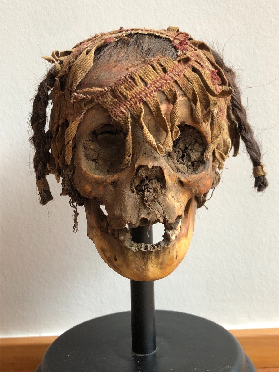 Nazca Mummy Head / Sacrificial Skull - Peru