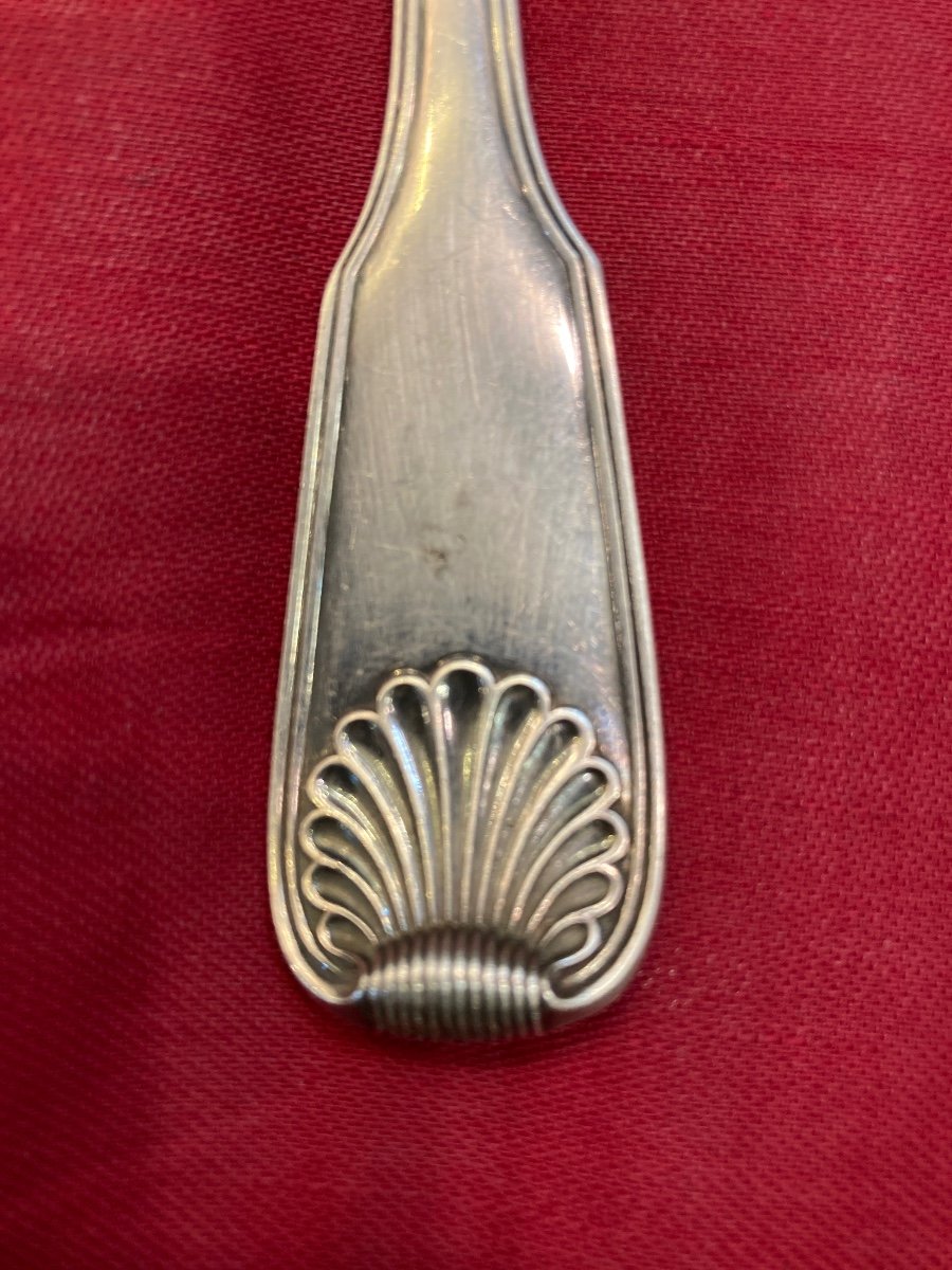 Minerve Large And Thin Sauce Spoon Shell Model-photo-2