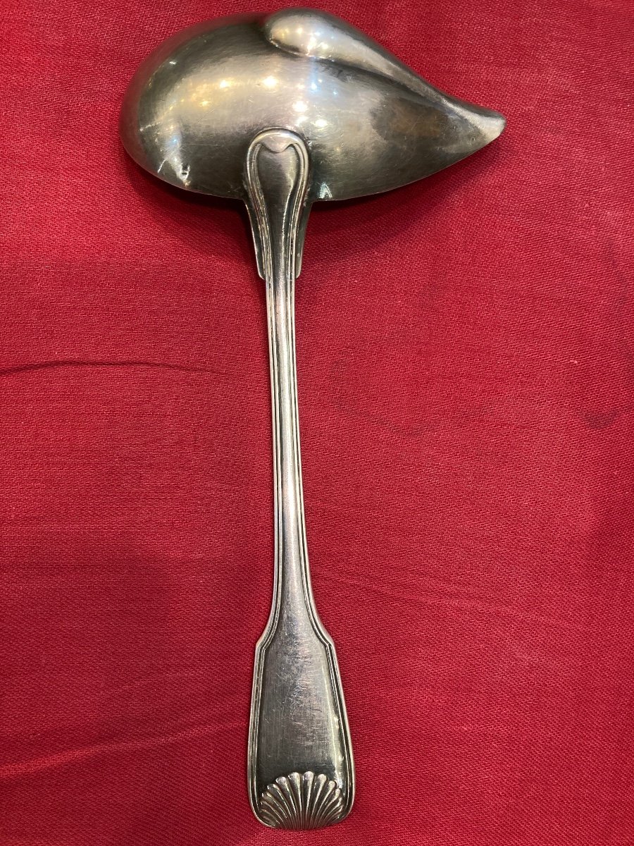 Minerve Large And Thin Sauce Spoon Shell Model-photo-4