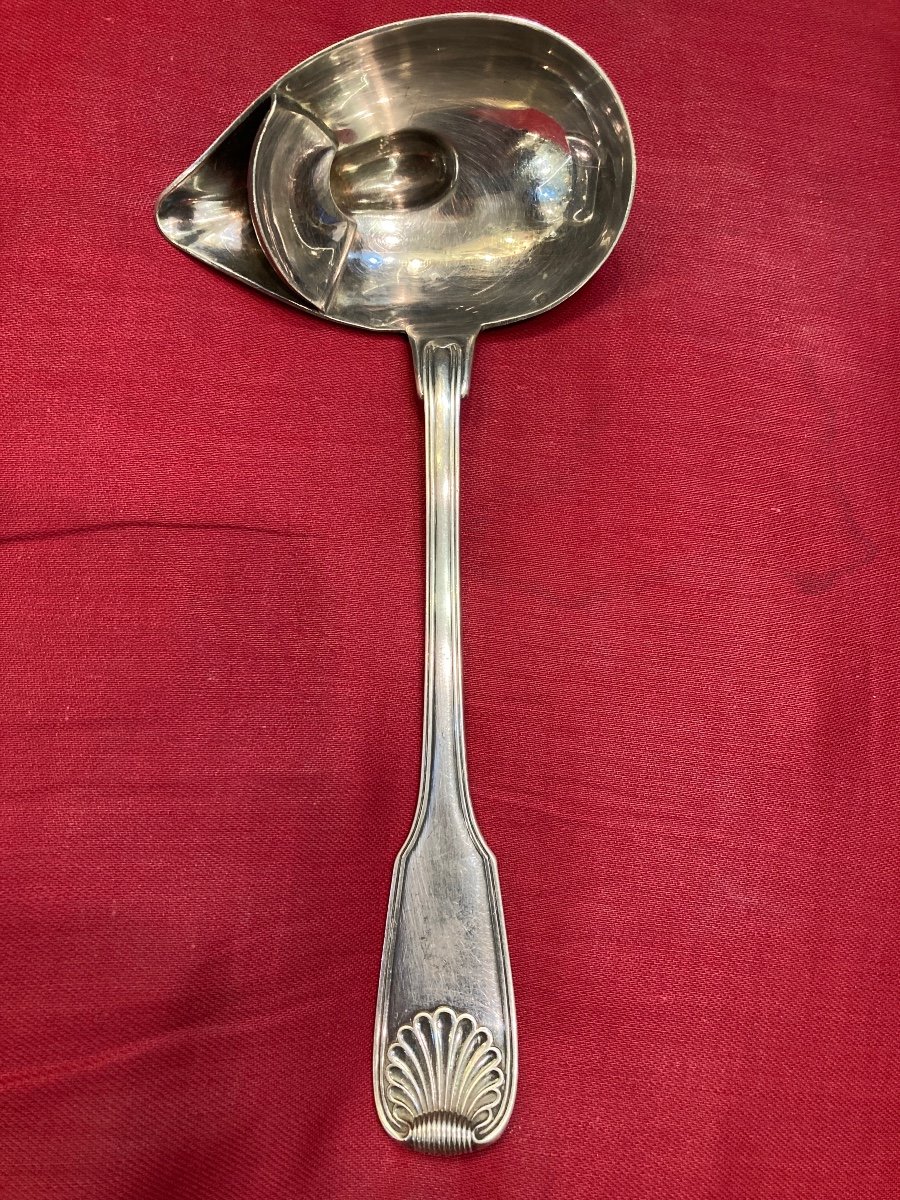 Minerve Large And Thin Sauce Spoon Shell Model