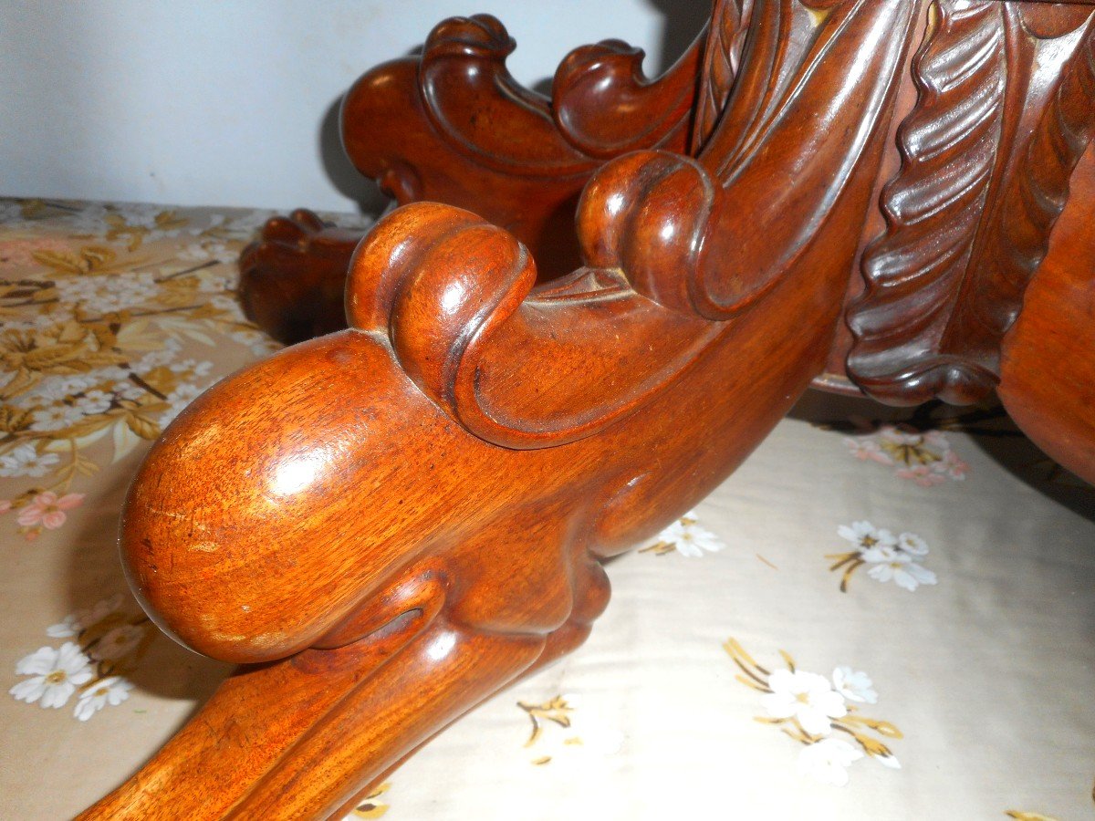 Pate De Lion Pedestal Table In Mahogany 19th Century-photo-5