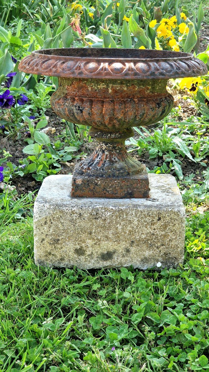 Vases Jardinière Médicis XIXeme-photo-4