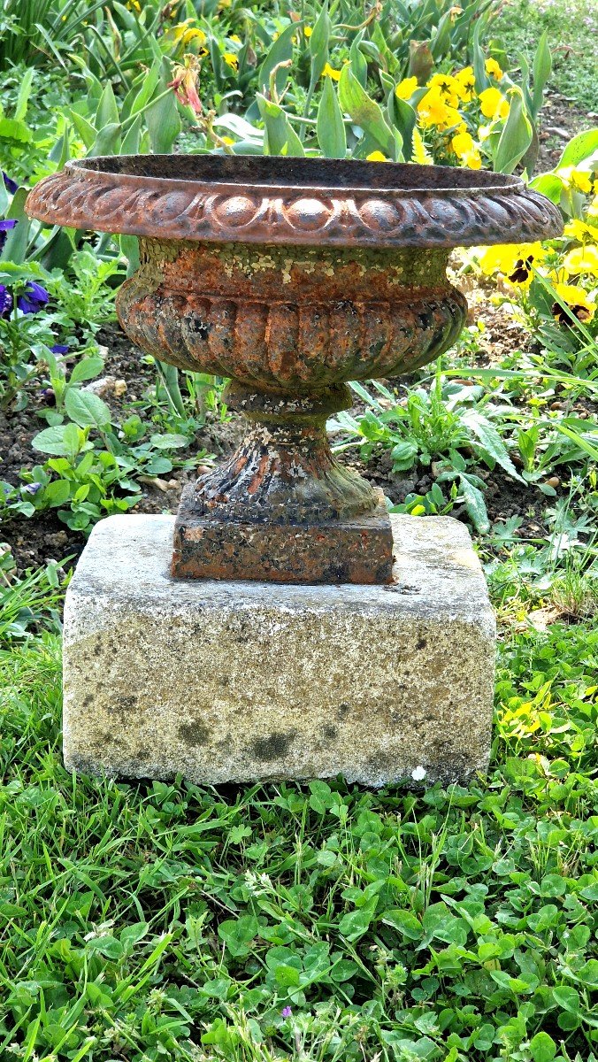 Vases Jardinière Médicis XIXeme