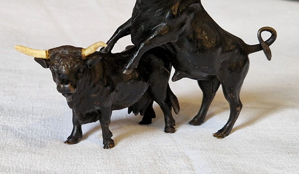 Bulls - The Rut -vienna Bronze-photo-3