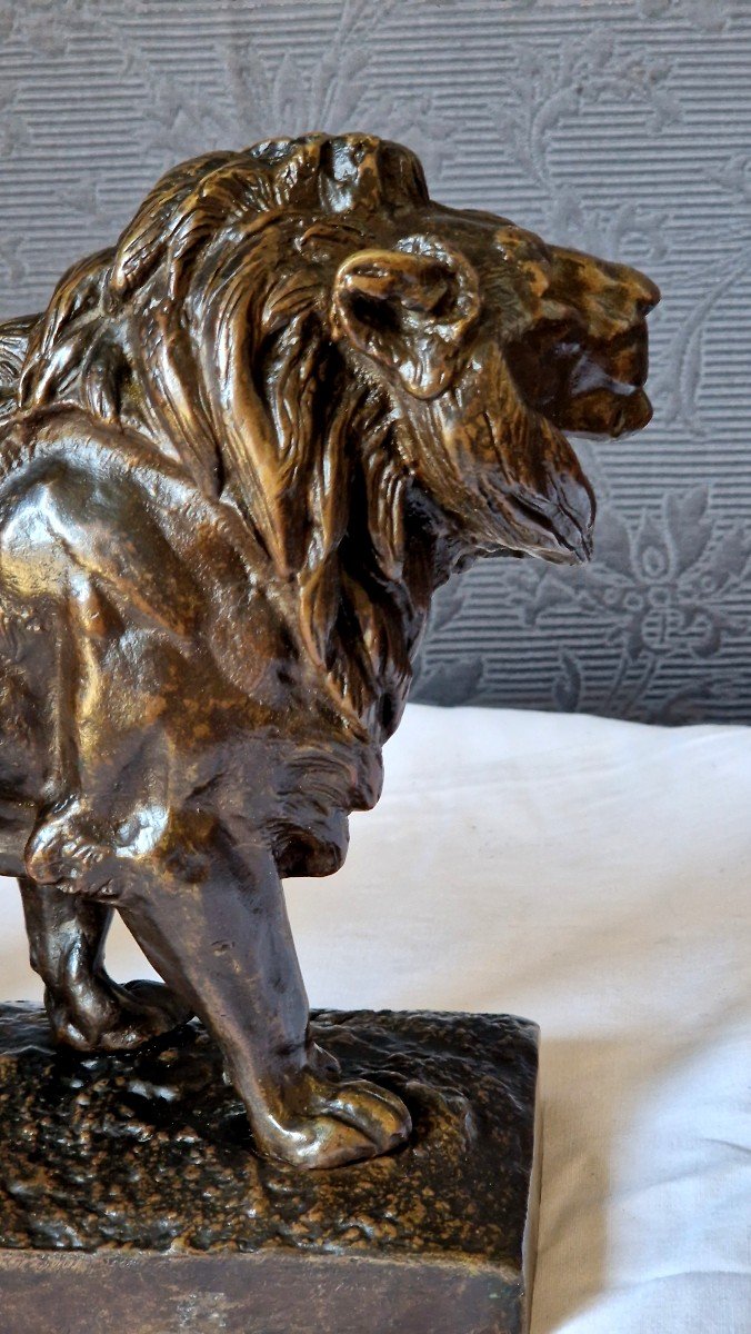 Lion En Bronze Par Hyppolyte Marius Galy (1847- 1929)-photo-3