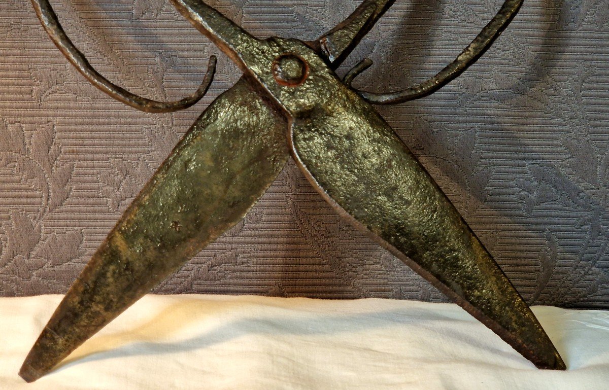 Pair Of 18th Century Shepherd's Scissors-photo-2