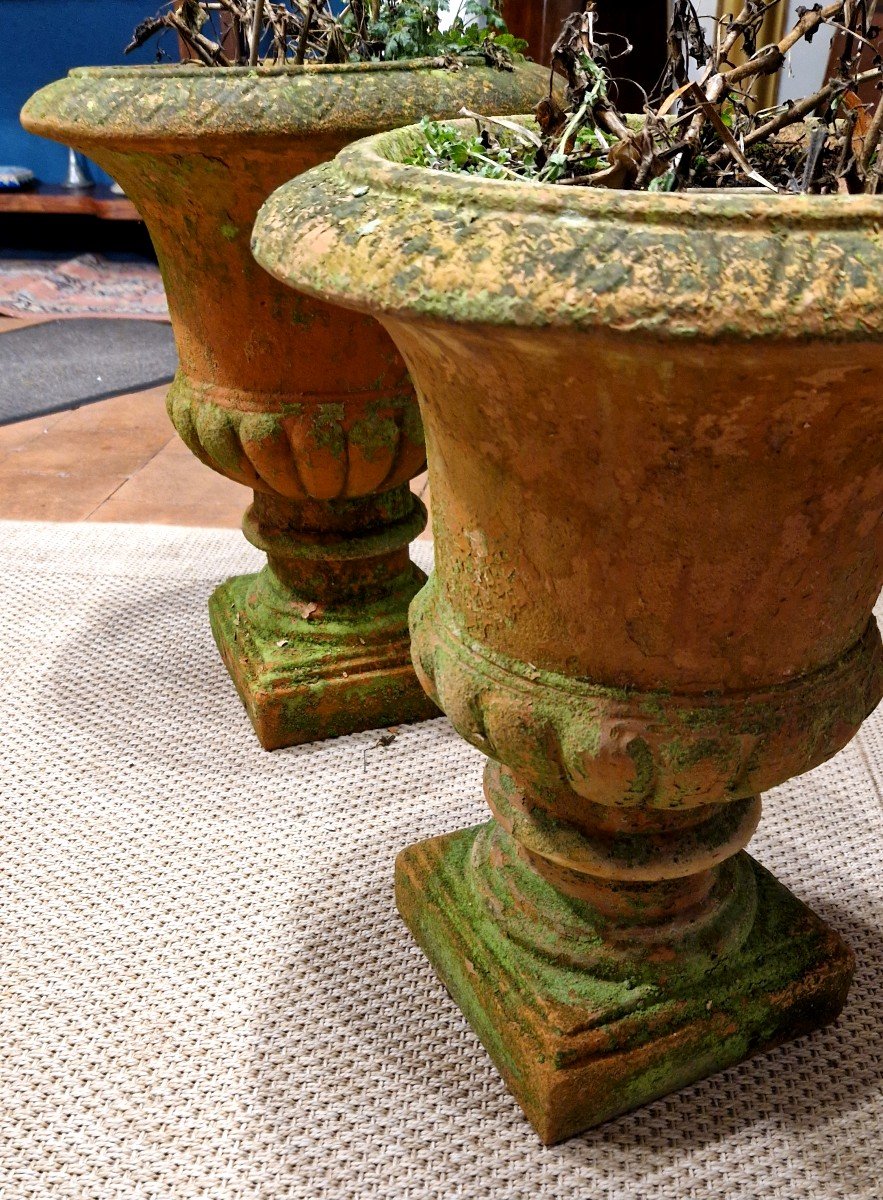 Pair Of Medici Terracotta Vases-photo-3