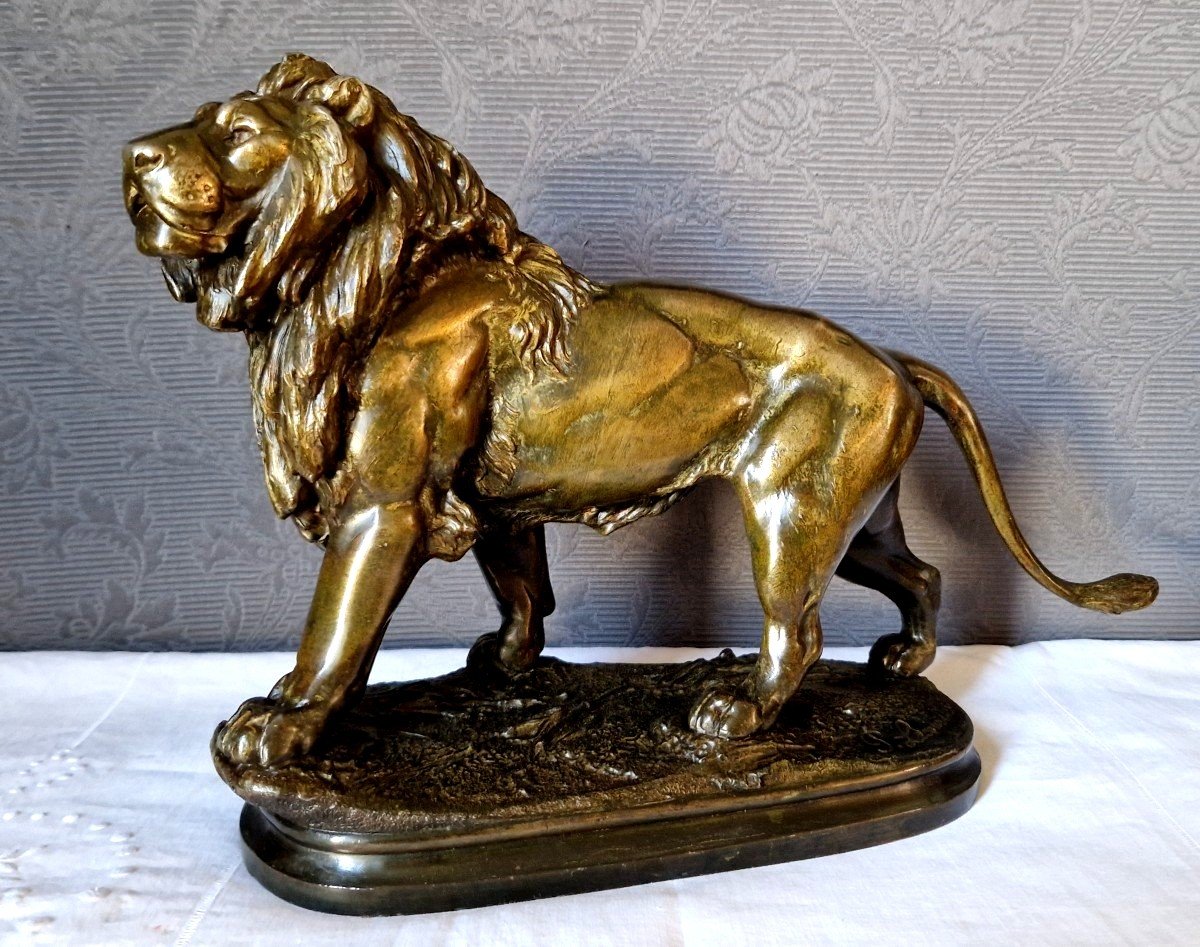 Lion In Regul By Prosper Lecourtier (1855-1924)-photo-7