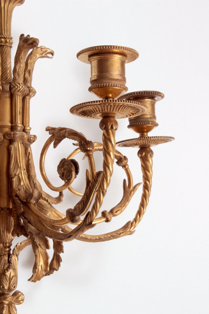 A  Pair Of Louis XVI  Ormolu  Tree  Branch Wall-lights -photo-2