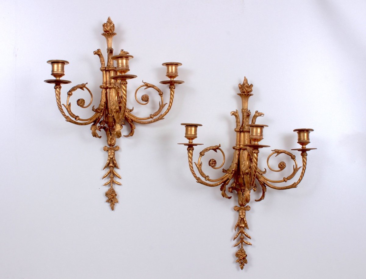 A  Pair Of Louis XVI  Ormolu  Tree  Branch Wall-lights 