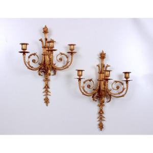 A  Pair Of Louis XVI  Ormolu  Tree  Branch Wall-lights 