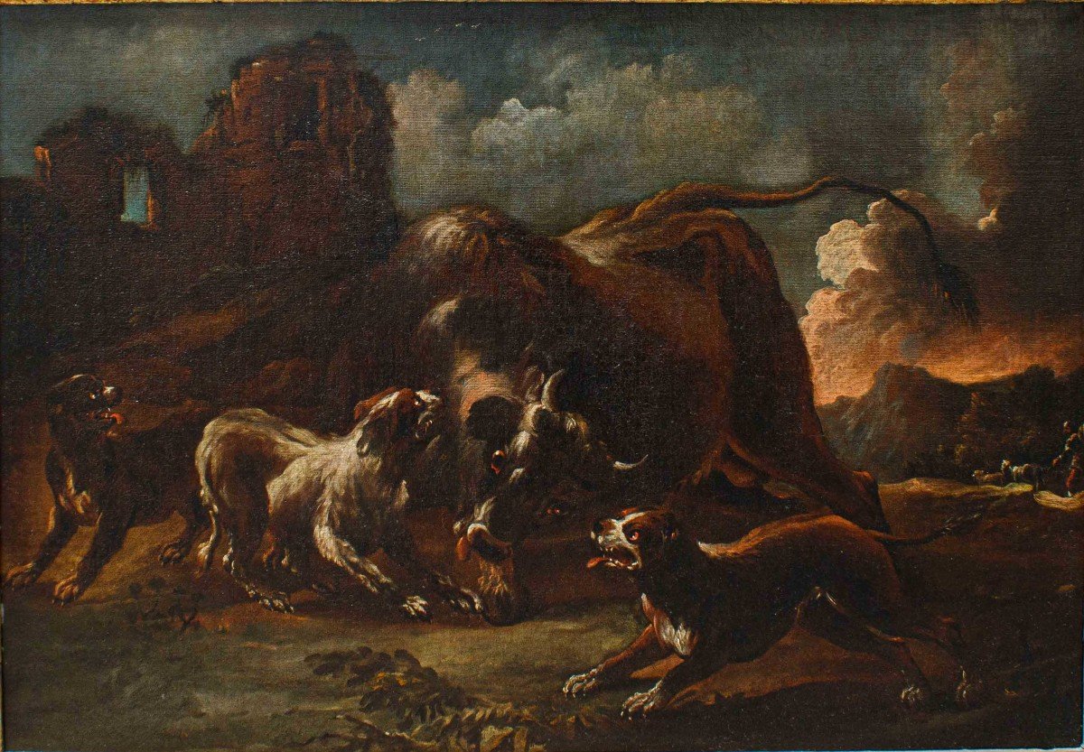 Giovanni Crivelli Dit Le Crivellino ( ? - 1760),  Lutte Entre Chiens Et Bison -photo-2