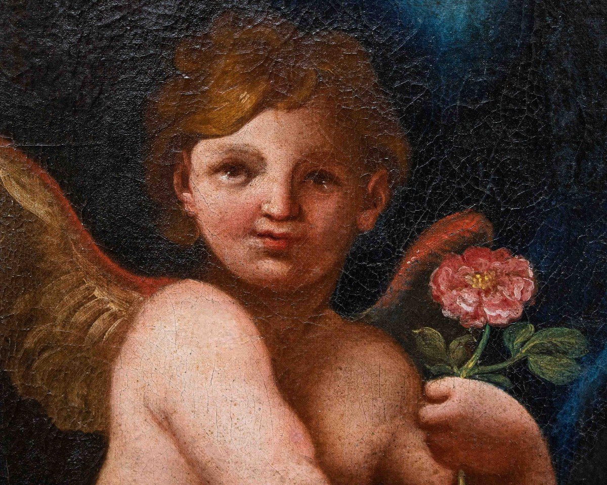 17th Century, Emilian School, Putto With Rose-photo-3