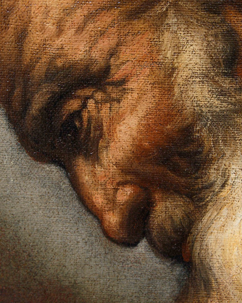 Ermanno Stroiffi (padua, 1616 - Venice, 1693), San Girolamo-photo-5