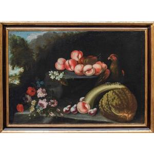 Felice Rubbiani (1677 - 1752), Attr, Nature Morte Avec Perroque