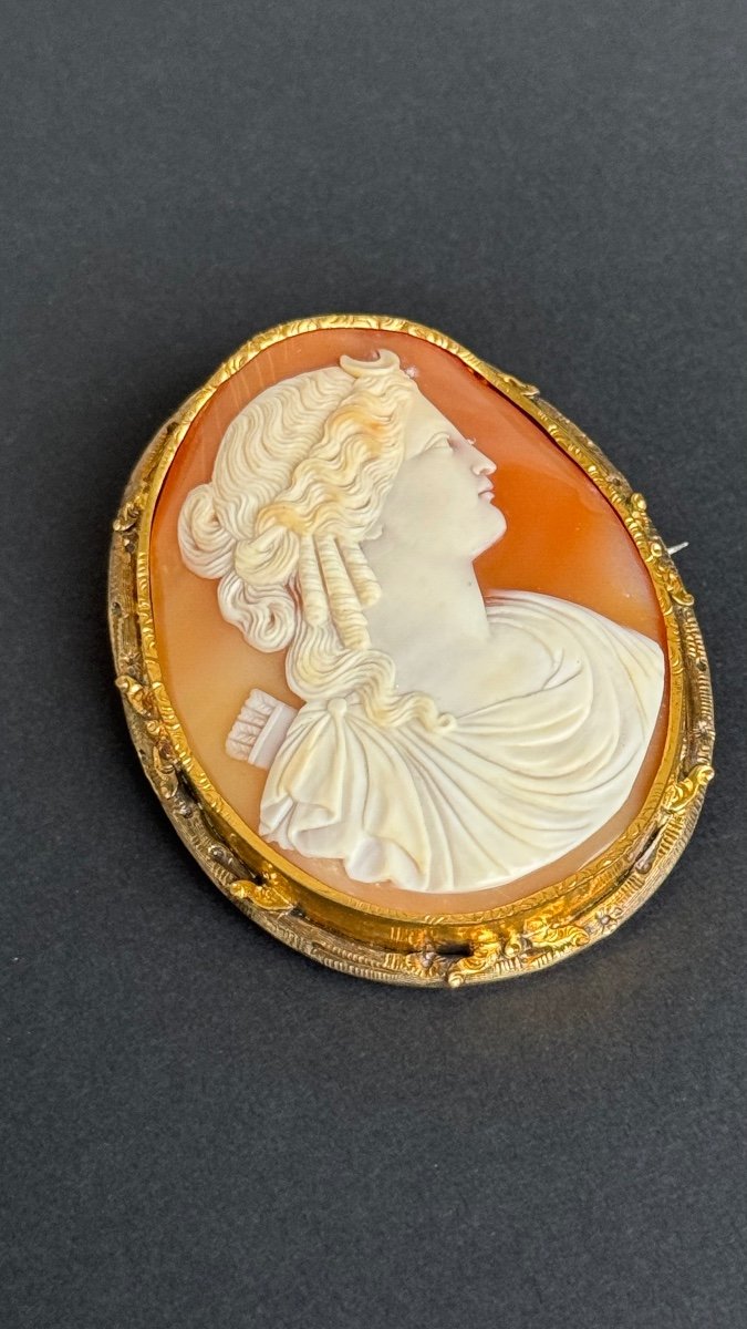 Broche En Pomponne Ciselé Ornée d'Un Camée Coquille Présentant Le Profil d'Artemis-photo-4