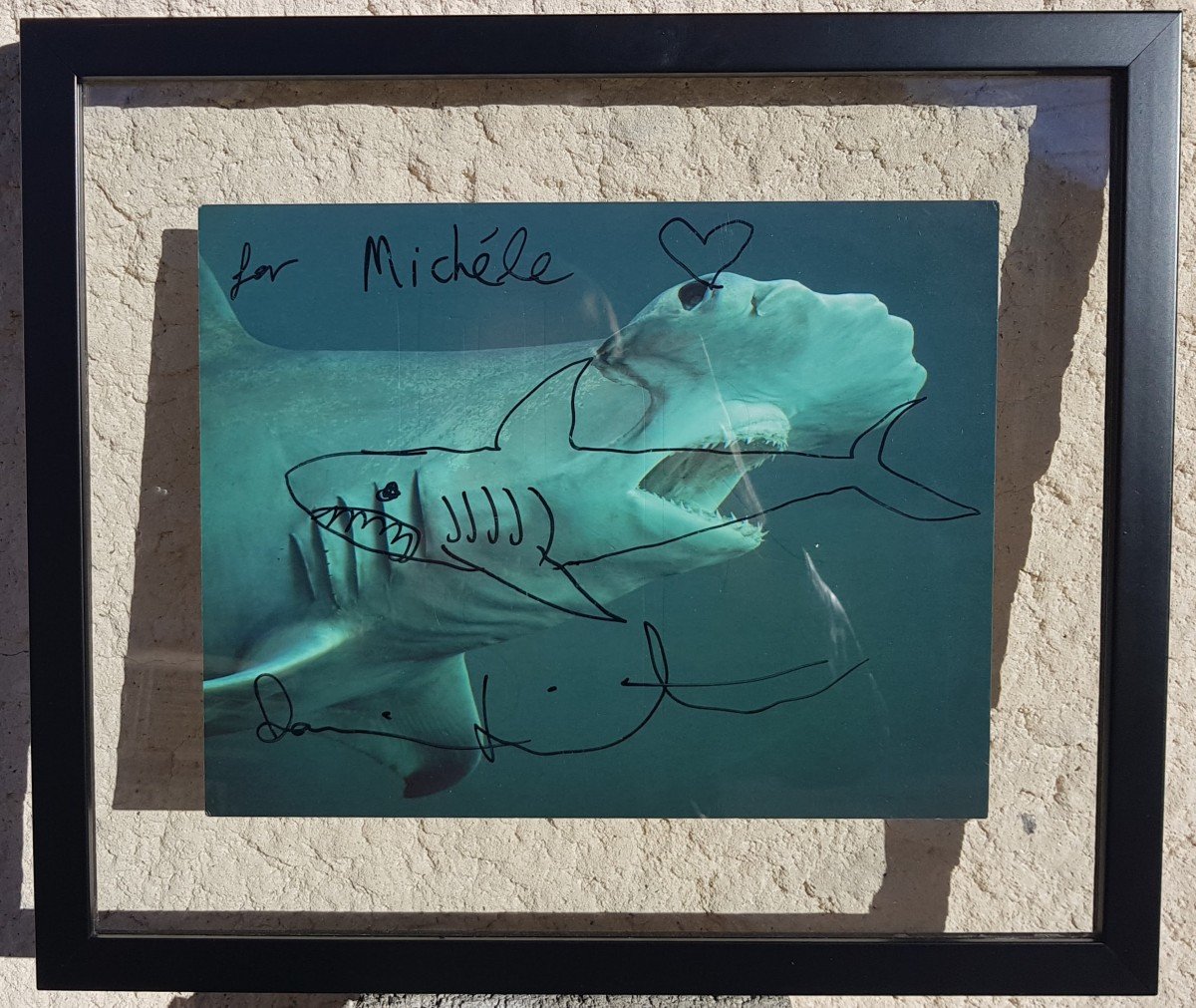 Damien Hirst - Shark Drawing - Monaco 2010-photo-2