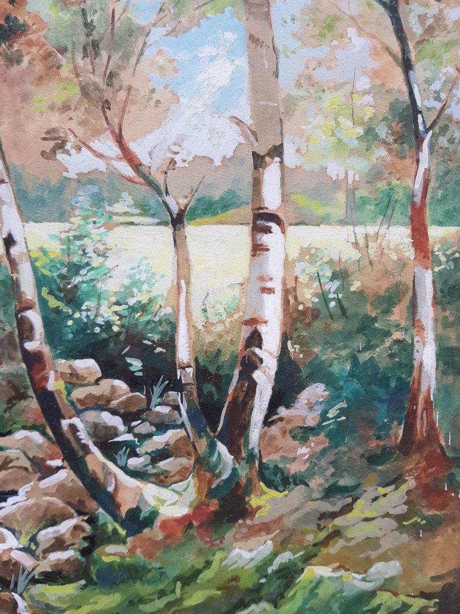 KNITTNER - Gouache - Ruisseau en sous-bois-photo-2