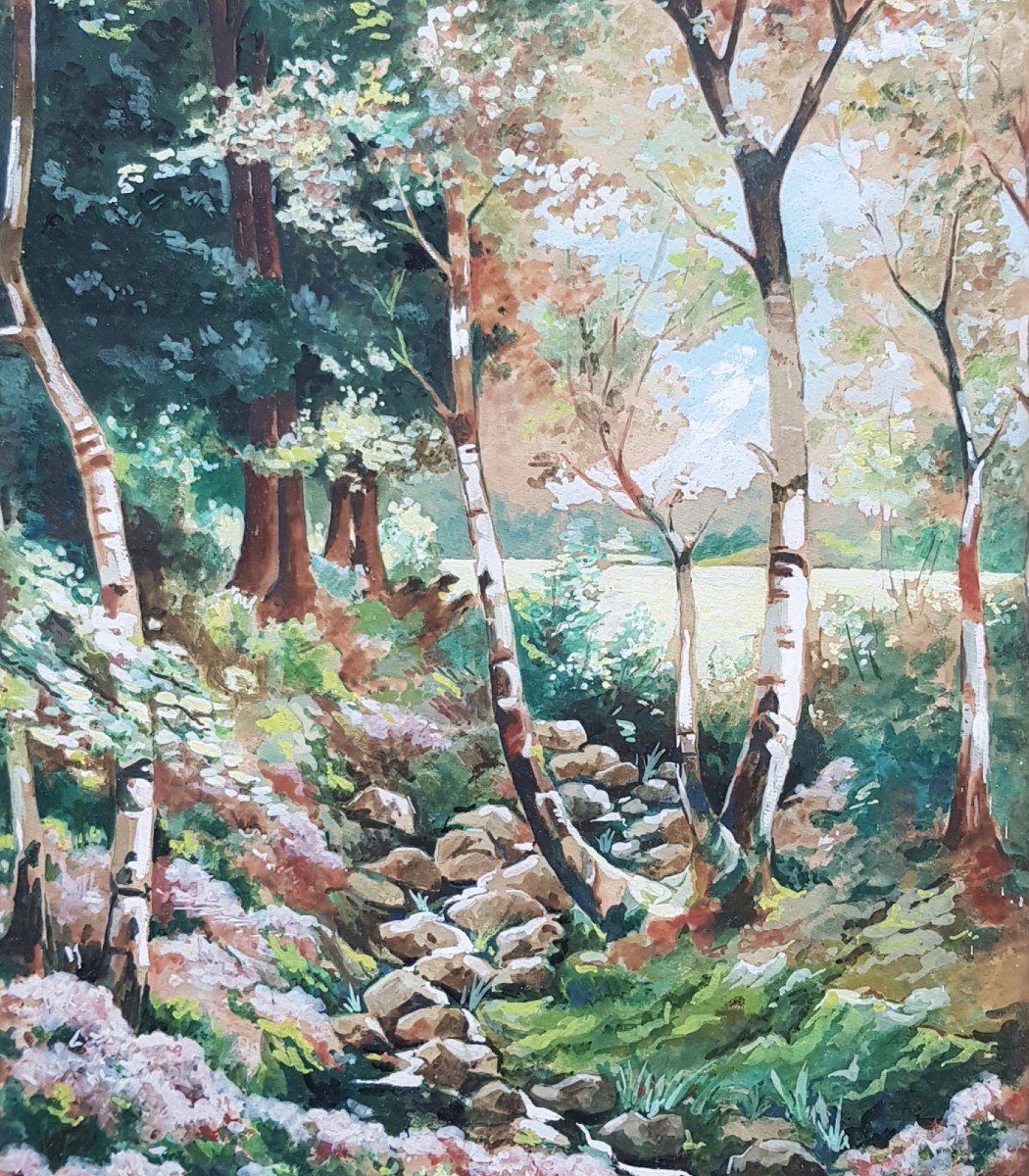 KNITTNER - Gouache - Ruisseau en sous-bois