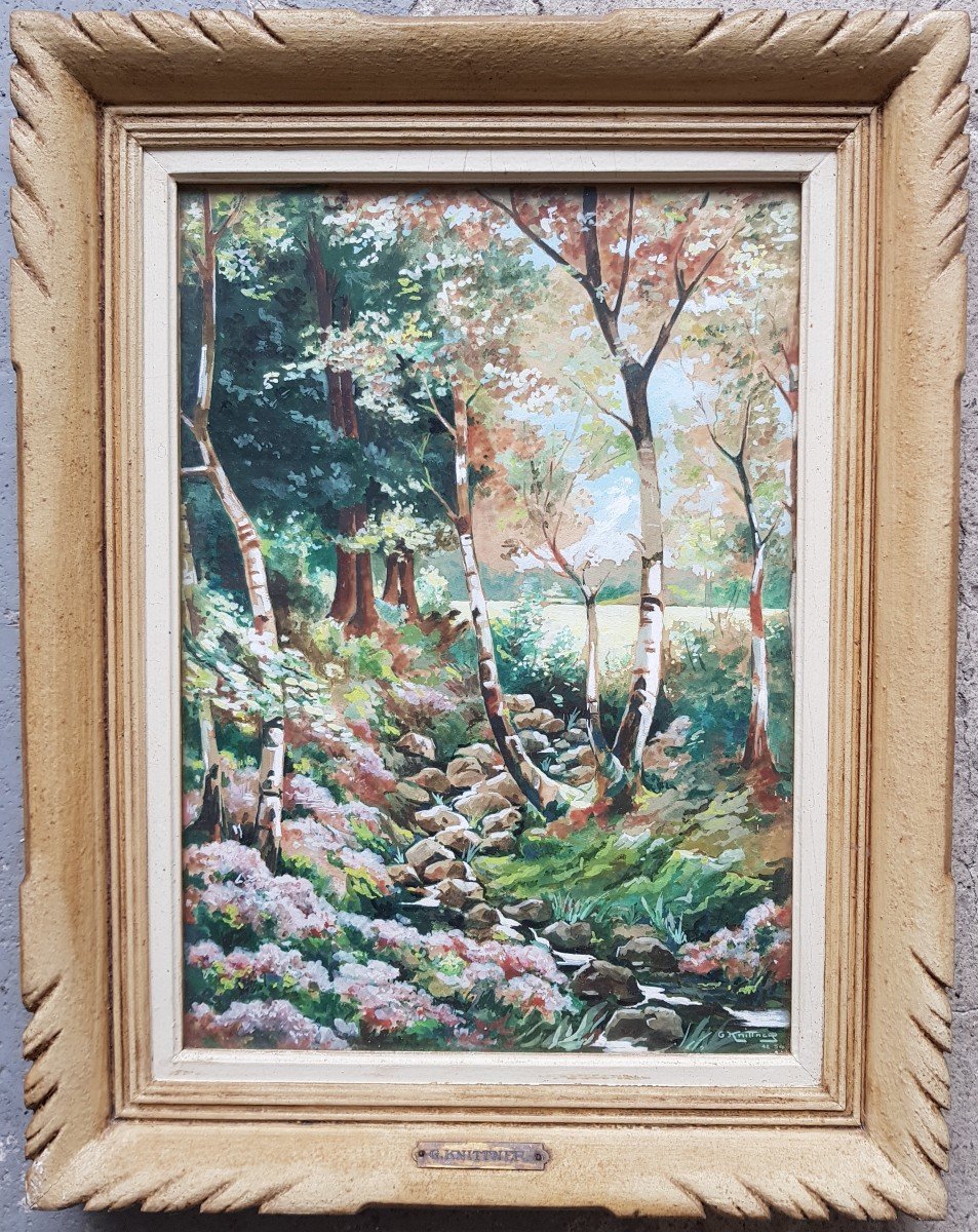 Grande gouache - Ruisseau en sous-bois - 1954