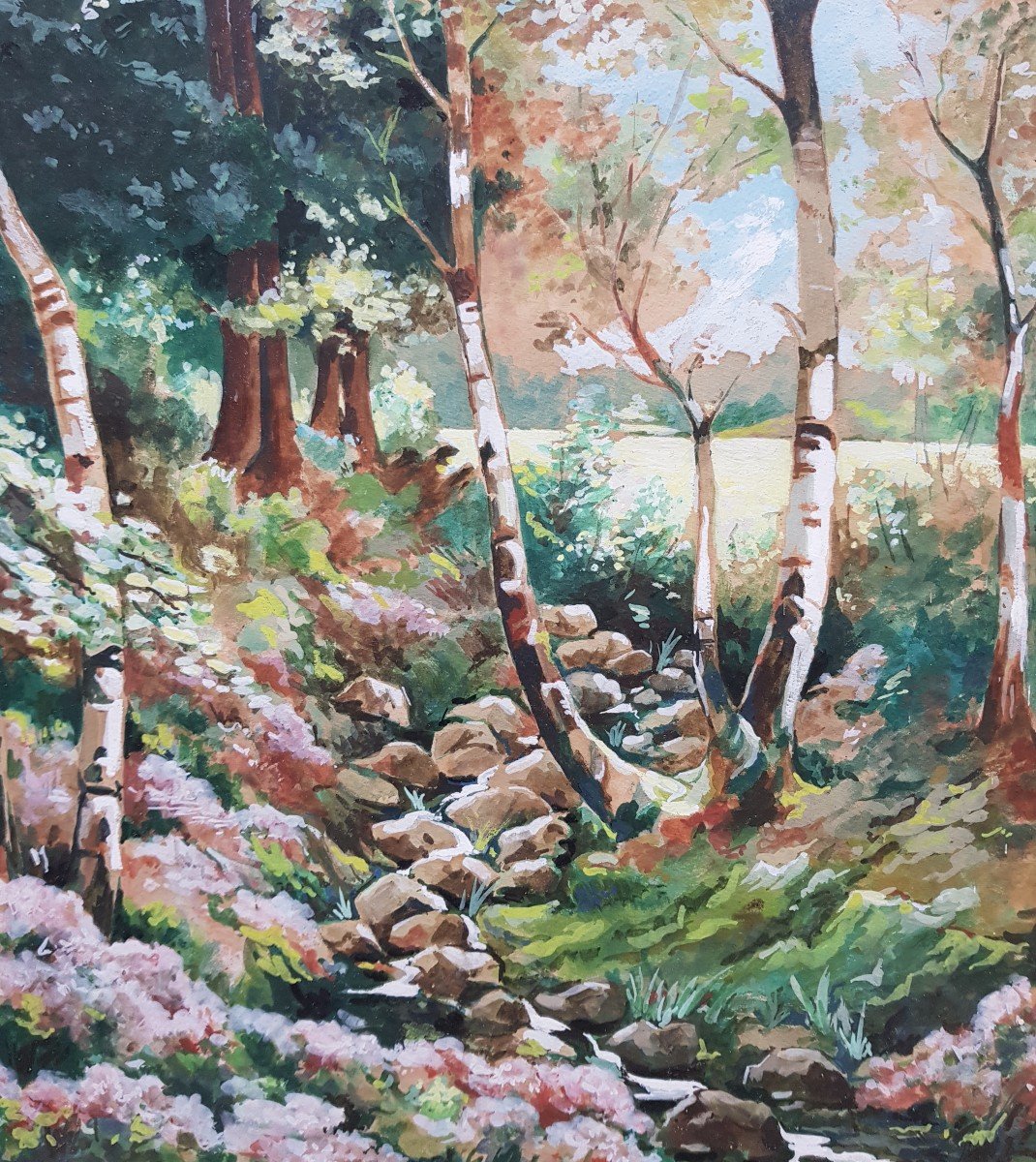 KNITTNER - Grande gouache - Ruisseau en sous-bois