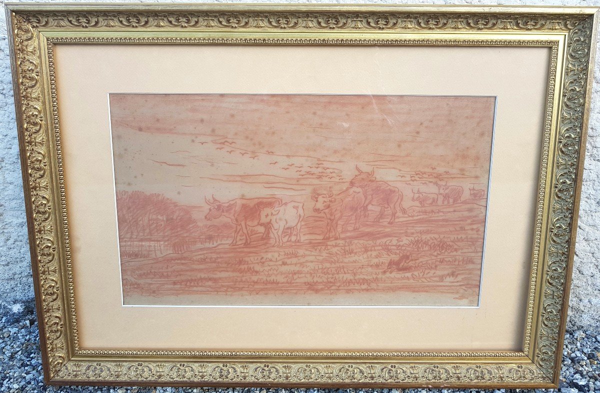 Daubigny - Red Chalk Drawing - Cows On River Bank-photo-2